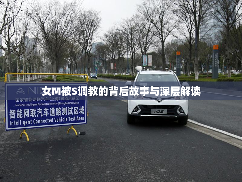 女M被S调教的背后故事与深层解读