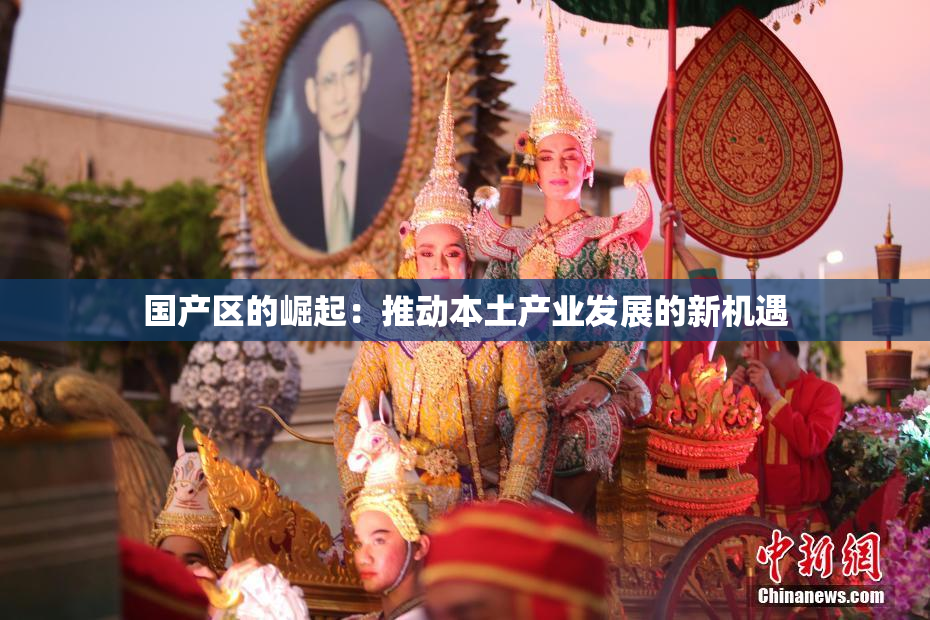 国产区的崛起：推动本土产业发展的新机遇