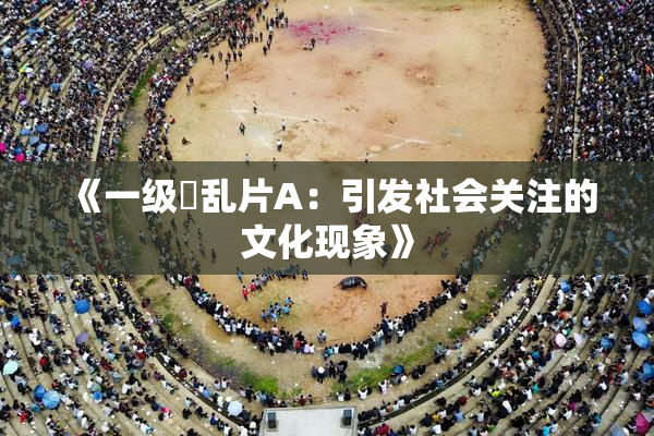 《一级婬乱片A：引发社会关注的文化现象》