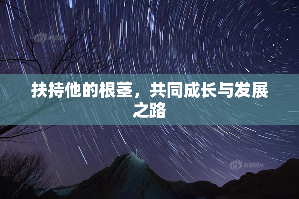 扶持他的根茎，共同成长与发展之路