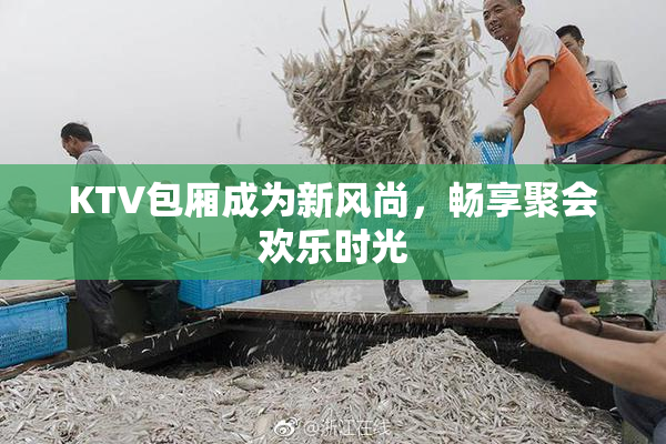 KTV包厢成为新风尚，畅享聚会欢乐时光
