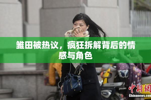 雏田被热议，疯狂拆解背后的情感与角色