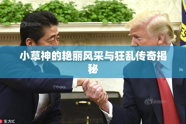 小草神的艳丽风采与狂乱传奇揭秘