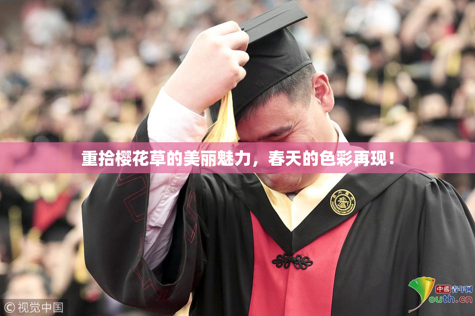 重拾樱花草的美丽魅力，春天的色彩再现！