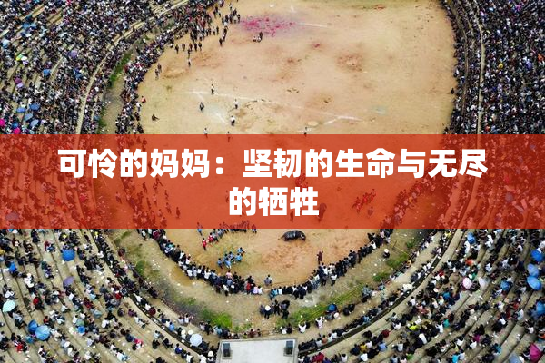 可怜的妈妈：坚韧的生命与无尽的牺牲