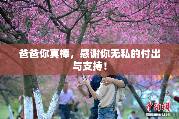 爸爸你真棒，感谢你无私的付出与支持！