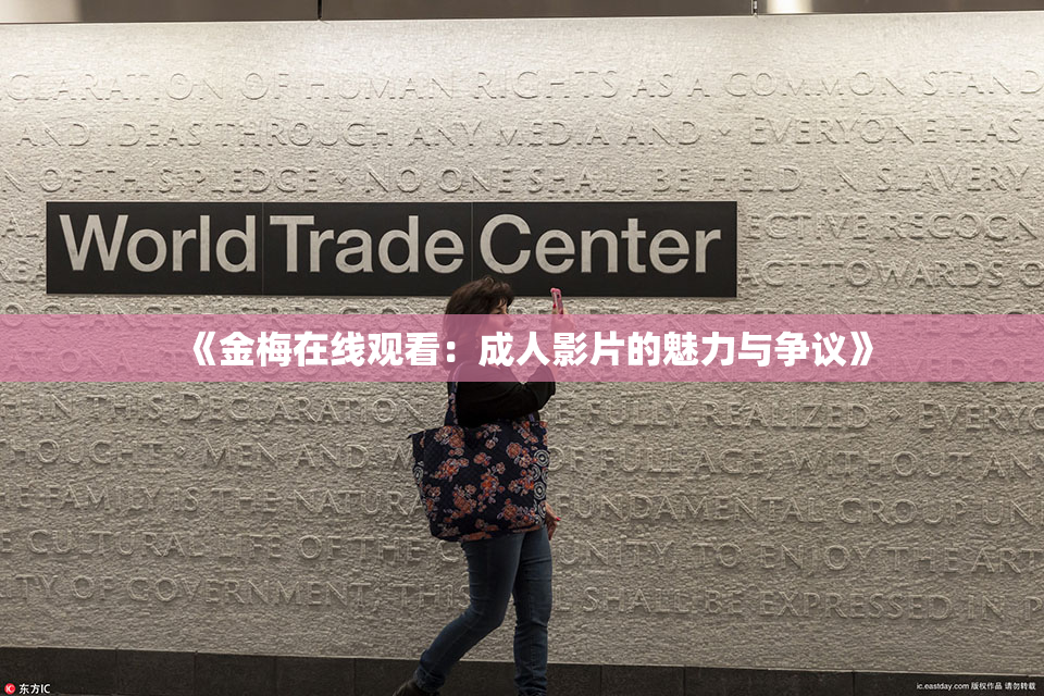 《金梅在线观看：成人影片的魅力与争议》