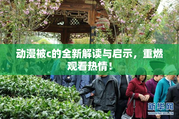 动漫被c的全新解读与启示，重燃观看热情！
