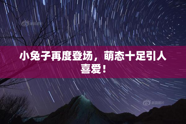 小兔子再度登场，萌态十足引人喜爱！