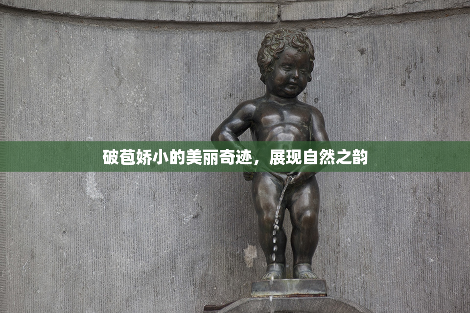 破苞娇小的美丽奇迹，展现自然之韵