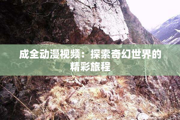 成全动漫视频：探索奇幻世界的精彩旅程