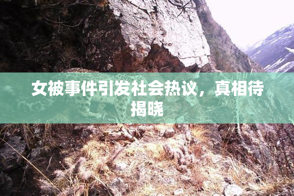 女被事件引发社会热议，真相待揭晓