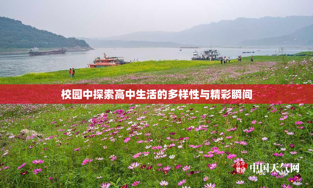 校园中探索高中生活的多样性与精彩瞬间