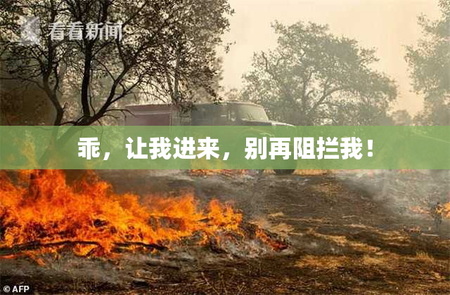 乖，让我进来，别再阻拦我！
