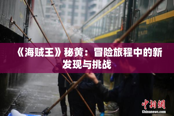 《海贼王》秘黄：冒险旅程中的新发现与挑战