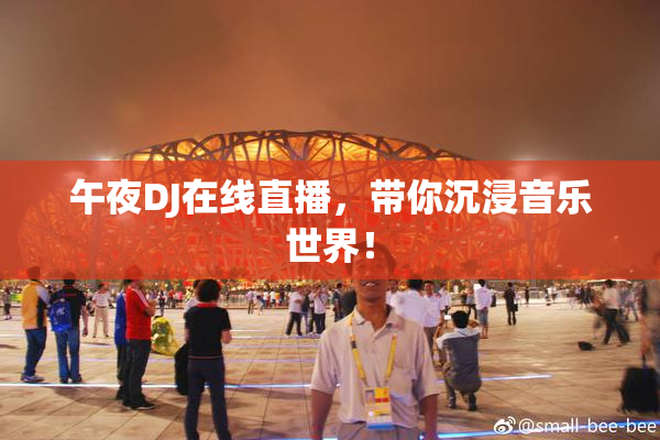 午夜DJ在线直播，带你沉浸音乐世界！