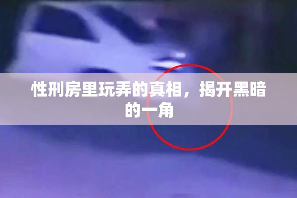 性刑房里玩弄的真相，揭开黑暗的一角
