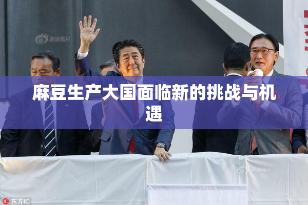 麻豆生产大国面临新的挑战与机遇