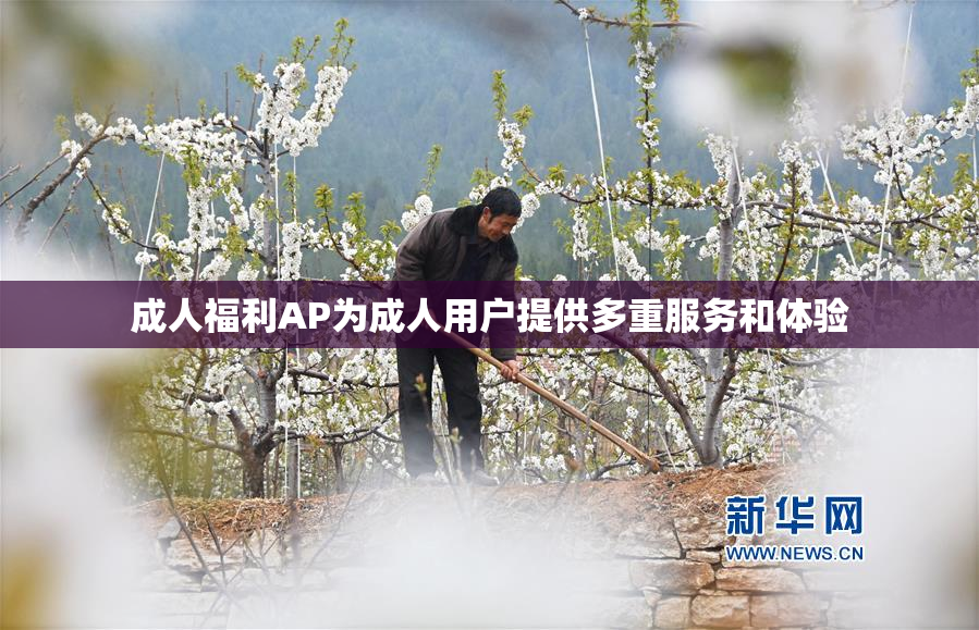 成人福利AP为成人用户提供多重服务和体验