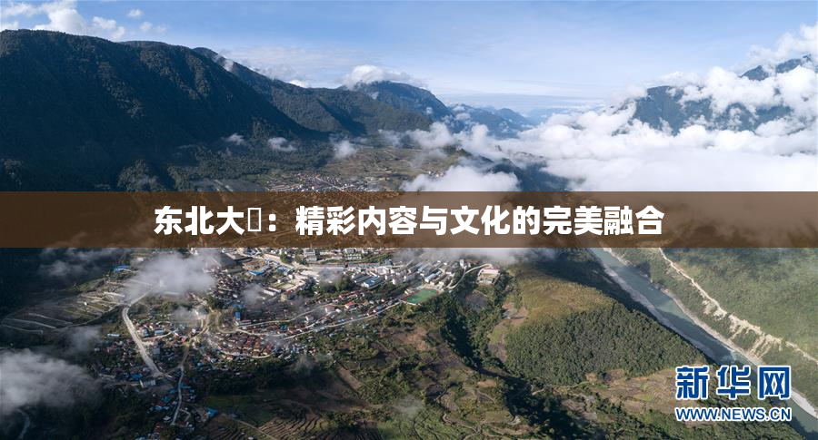 东北大鷄：精彩内容与文化的完美融合