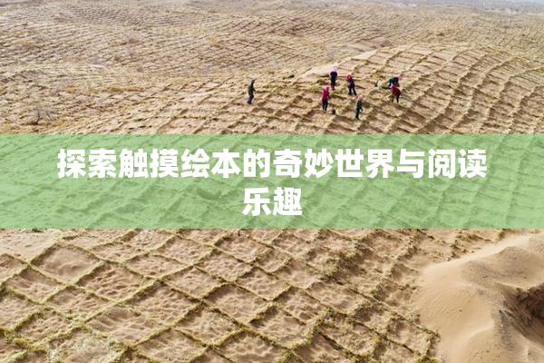 探索触摸绘本的奇妙世界与阅读乐趣
