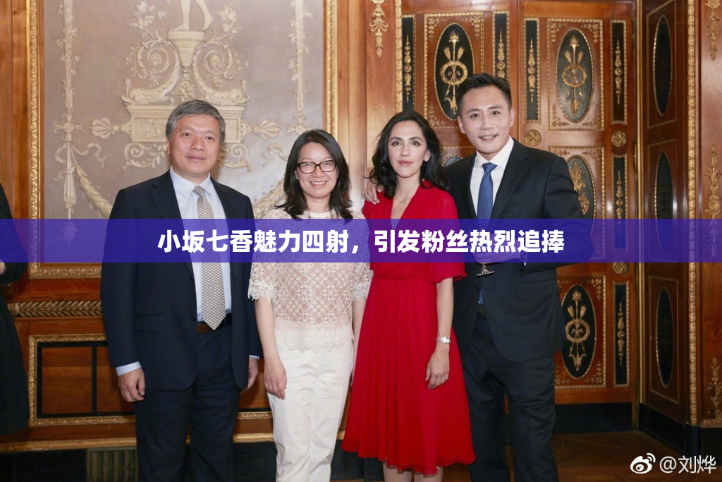 小坂七香魅力四射，引发粉丝热烈追捧