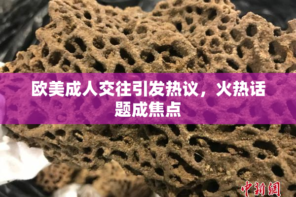 欧美成人交往引发热议，火热话题成焦点