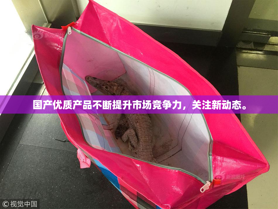国产优质产品不断提升市场竞争力，关注新动态。