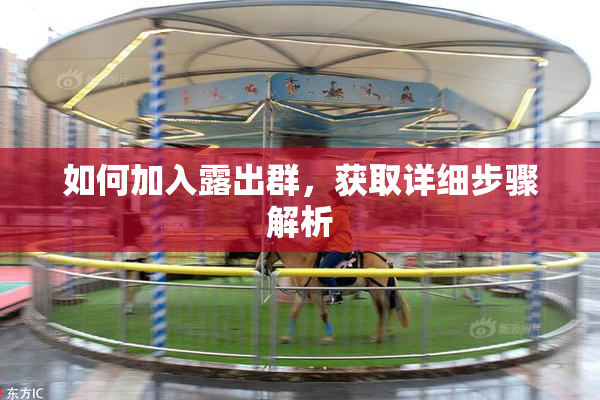 如何加入露出群，获取详细步骤解析