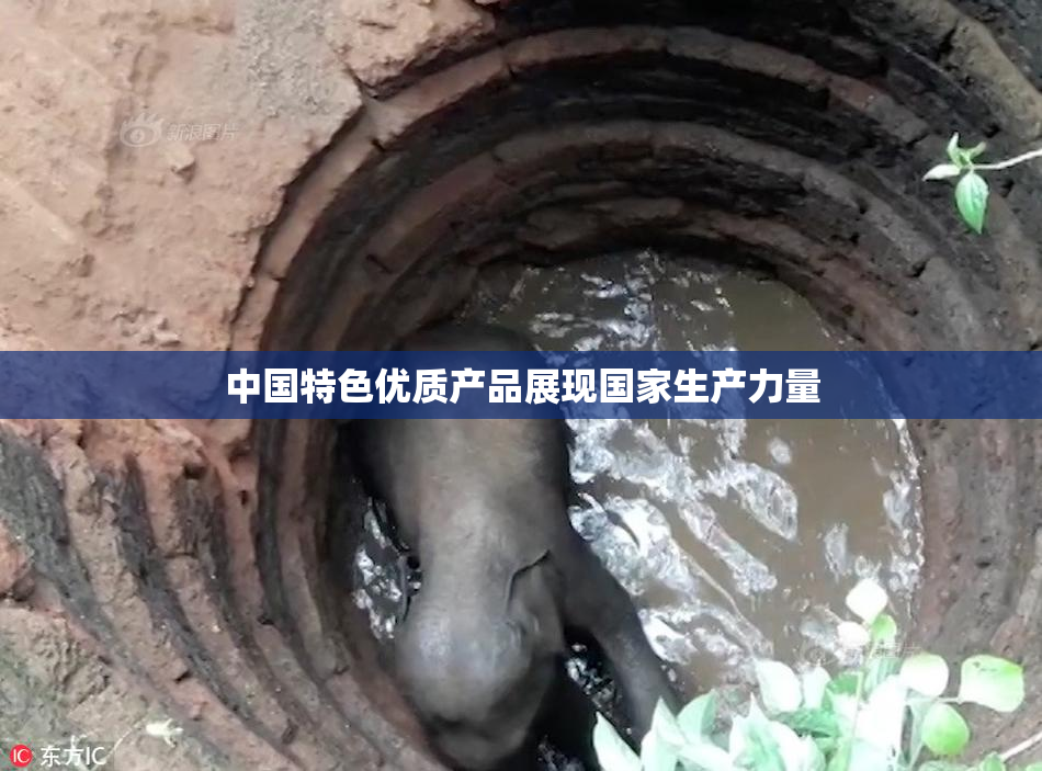 中国特色优质产品展现国家生产力量