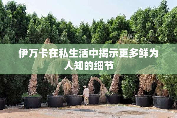 伊万卡在私生活中揭示更多鲜为人知的细节