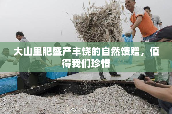 大山里肥盛产丰饶的自然馈赠，值得我们珍惜