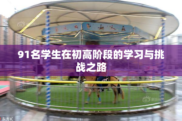 91名学生在初高阶段的学习与挑战之路
