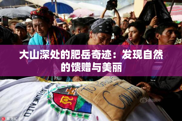 大山深处的肥岳奇迹：发现自然的馈赠与美丽