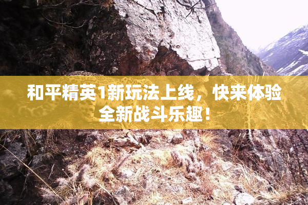 和平精英1新玩法上线，快来体验全新战斗乐趣！
