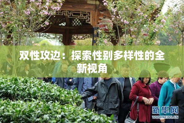 双性攻边：探索性别多样性的全新视角