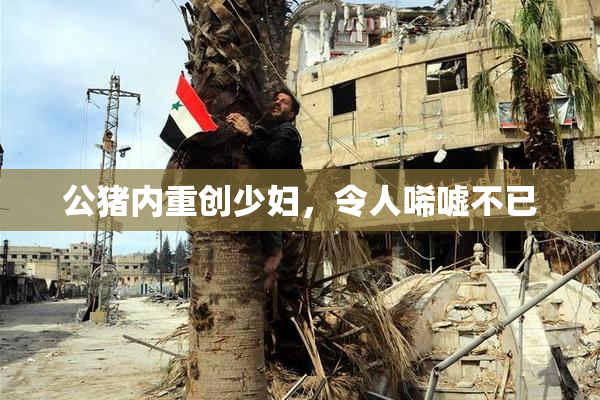 公猪内重创少妇，令人唏嘘不已