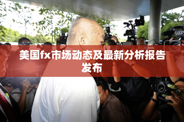 美国fx市场动态及最新分析报告发布