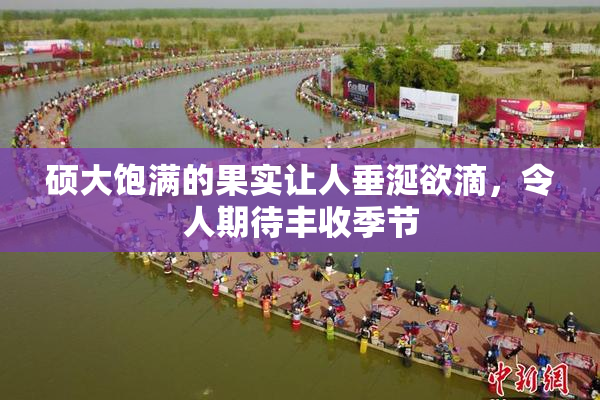 硕大饱满的果实让人垂涎欲滴，令人期待丰收季节
