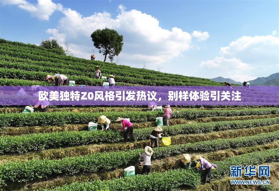 欧美独特Z0风格引发热议，别样体验引关注