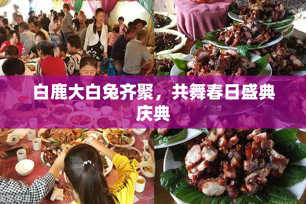 白鹿大白兔齐聚，共舞春日盛典庆典