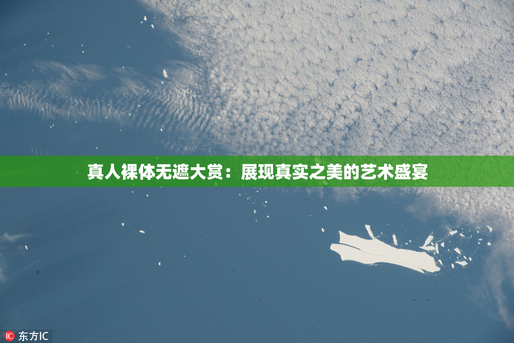 真人裸体无遮大赏：展现真实之美的艺术盛宴