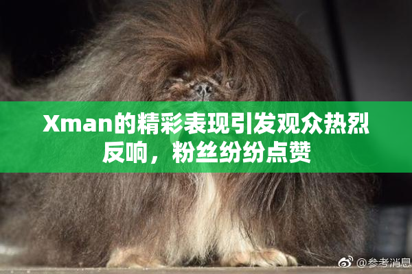 Xman的精彩表现引发观众热烈反响，粉丝纷纷点赞