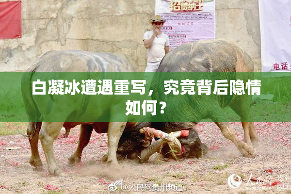 白凝冰遭遇重写，究竟背后隐情如何？