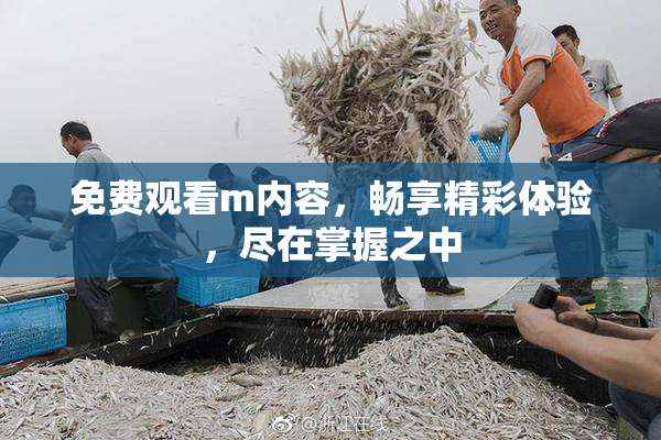 免费观看m内容，畅享精彩体验，尽在掌握之中