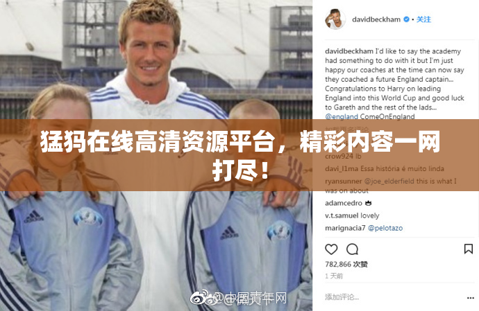 猛犸在线高清资源平台，精彩内容一网打尽！