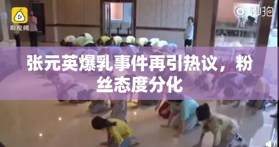 张元英爆乳事件再引热议，粉丝态度分化