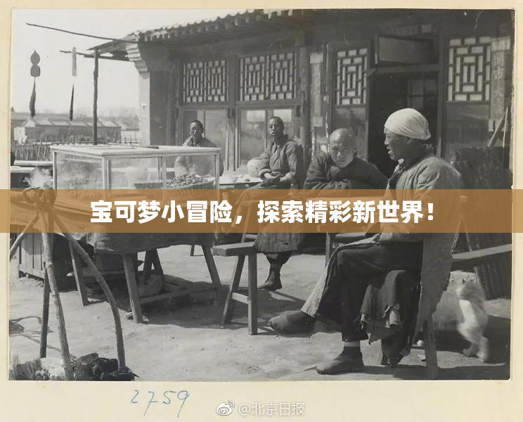 宝可梦小冒险，探索精彩新世界！