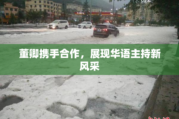 董卿携手合作，展现华语主持新风采