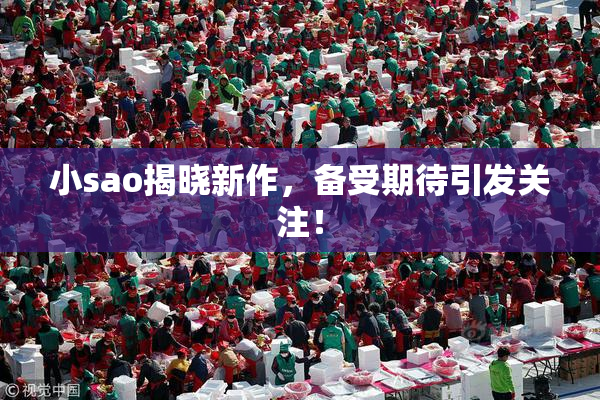 小sao揭晓新作，备受期待引发关注！
